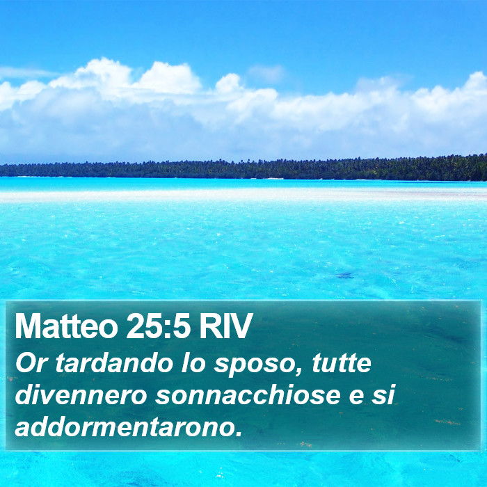 Matteo 25:5 RIV Bible Study