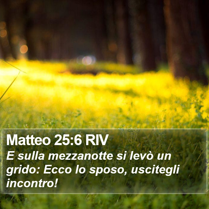 Matteo 25:6 RIV Bible Study