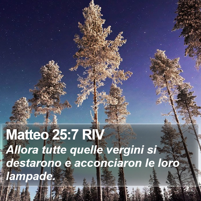 Matteo 25:7 RIV Bible Study