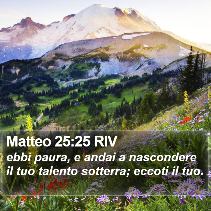 Matteo 25:25 RIV Bible Study