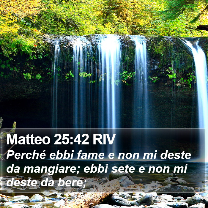 Matteo 25:42 RIV Bible Study