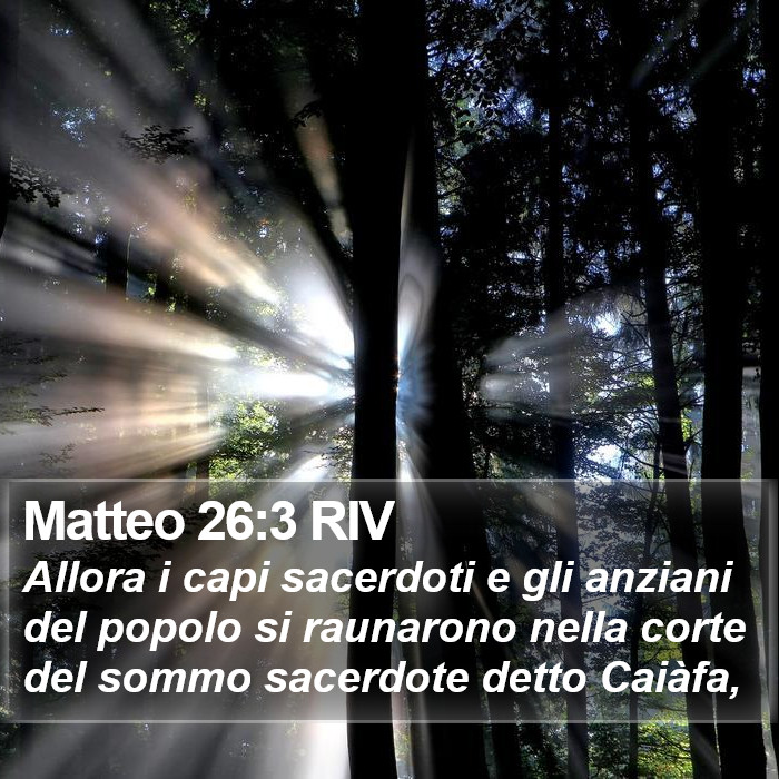 Matteo 26:3 RIV Bible Study