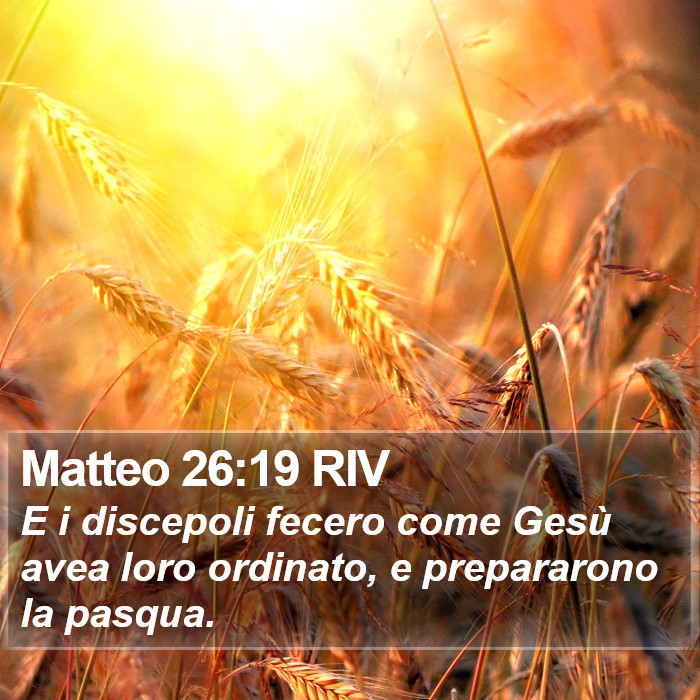 Matteo 26:19 RIV Bible Study