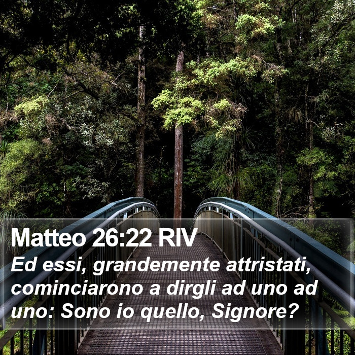 Matteo 26:22 RIV Bible Study