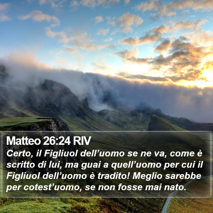 Matteo 26:24 RIV Bible Study