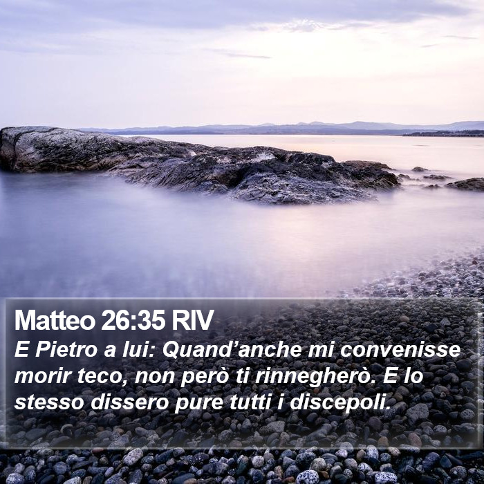 Matteo 26:35 RIV Bible Study