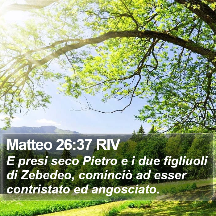 Matteo 26:37 RIV Bible Study
