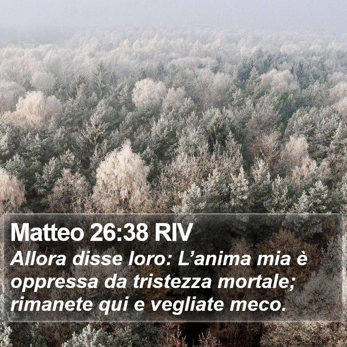 Matteo 26:38 RIV Bible Study