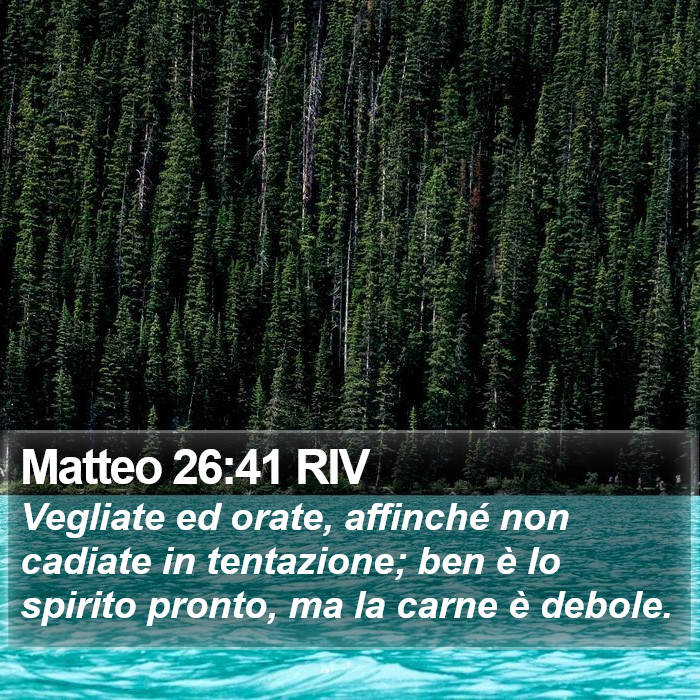 Matteo 26:41 RIV Bible Study
