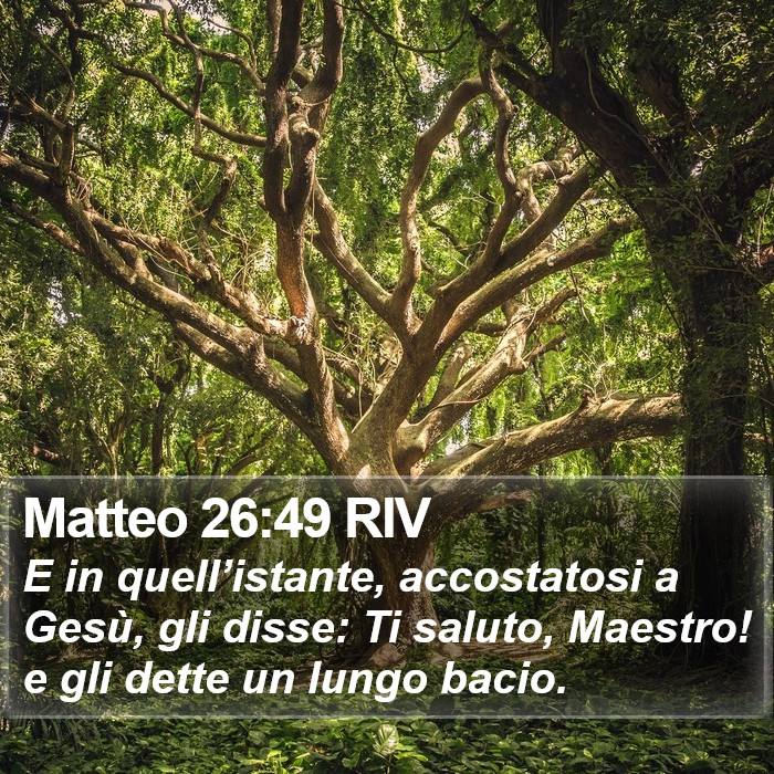 Matteo 26:49 RIV Bible Study