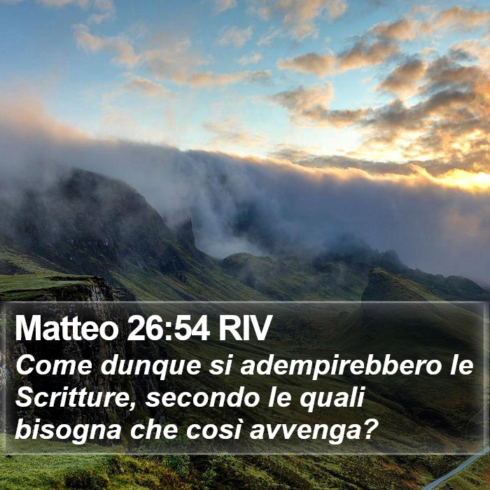 Matteo 26:54 RIV Bible Study