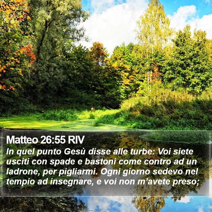 Matteo 26:55 RIV Bible Study
