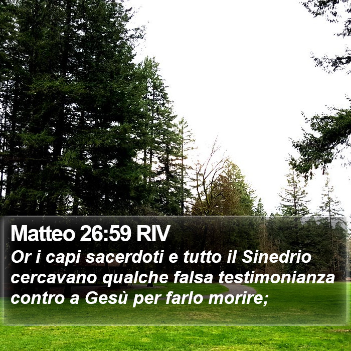 Matteo 26:59 RIV Bible Study