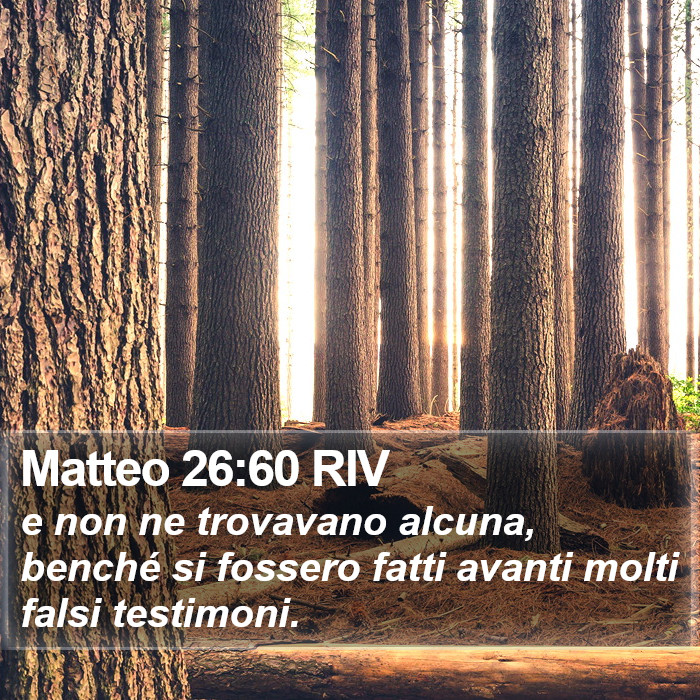 Matteo 26:60 RIV Bible Study