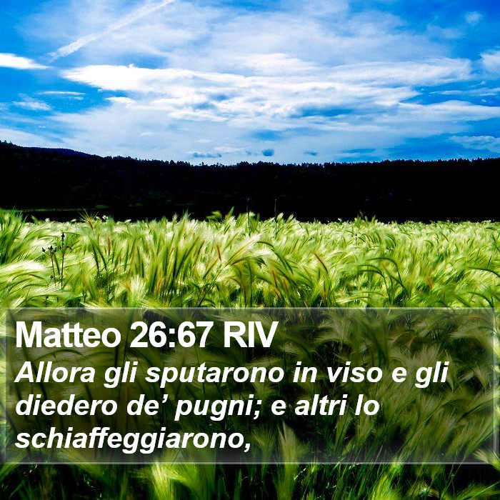 Matteo 26:67 RIV Bible Study