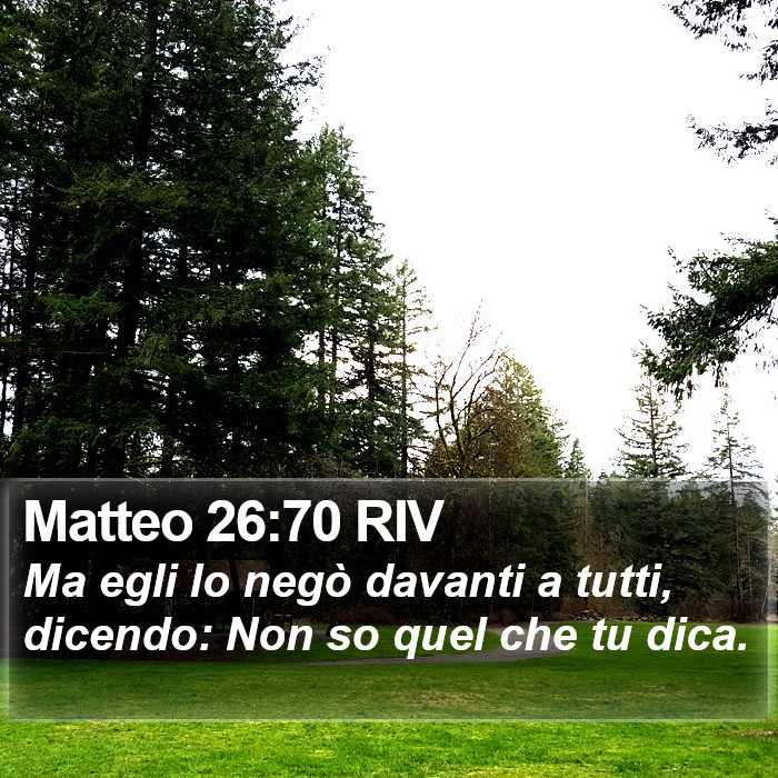 Matteo 26:70 RIV Bible Study