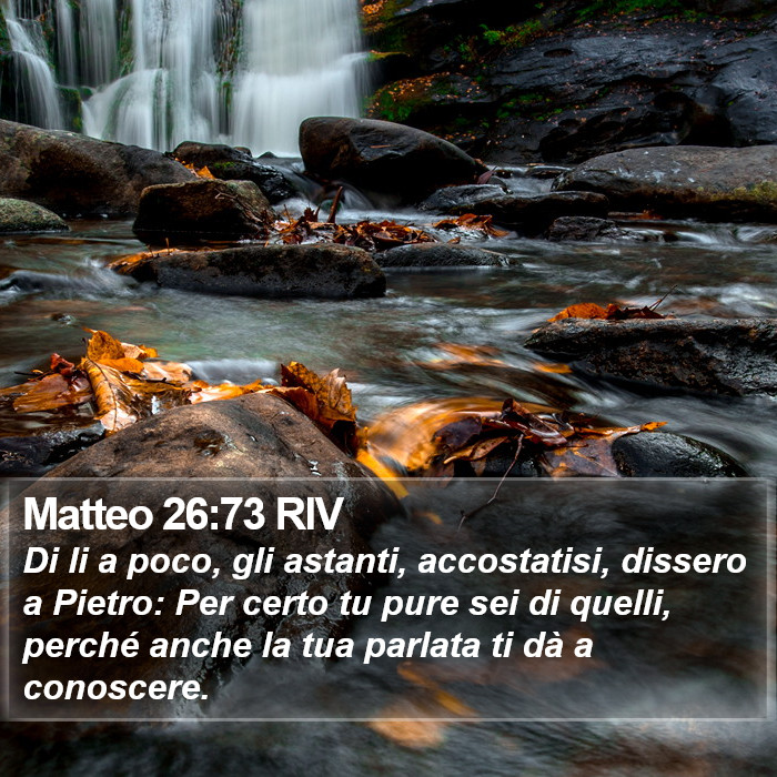 Matteo 26:73 RIV Bible Study