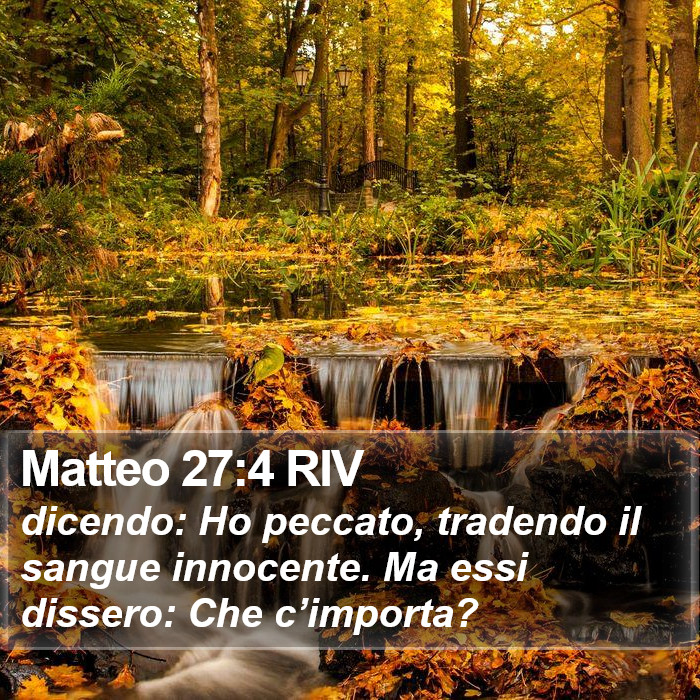 Matteo 27:4 RIV Bible Study