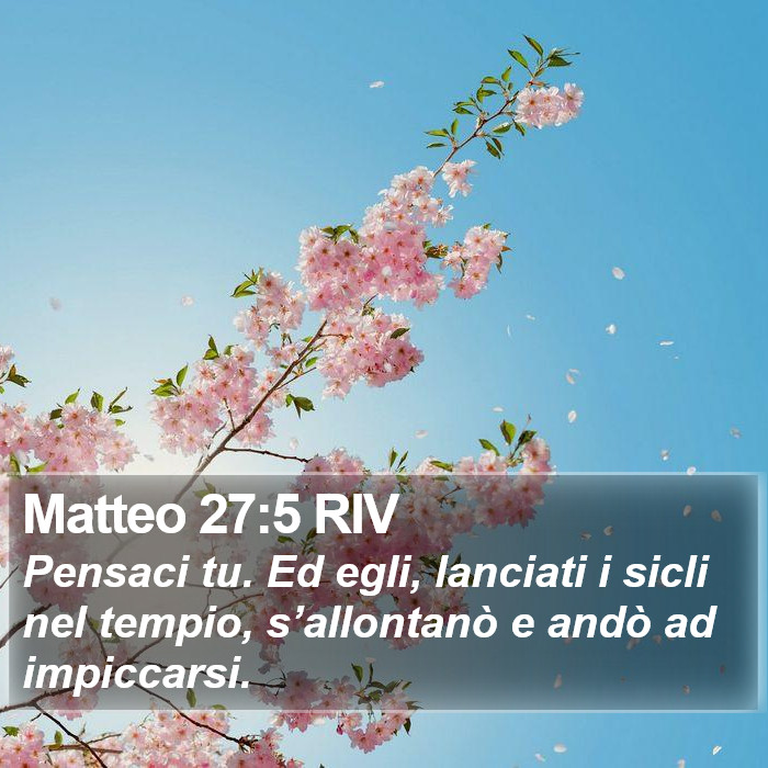 Matteo 27:5 RIV Bible Study