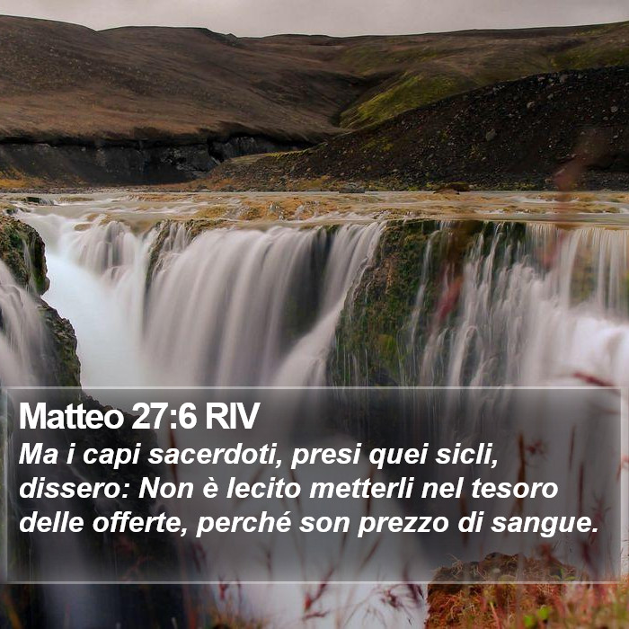 Matteo 27:6 RIV Bible Study