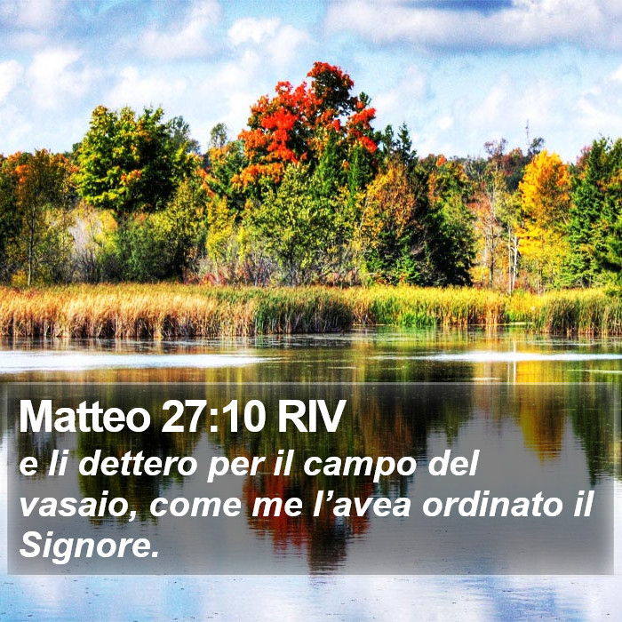 Matteo 27:10 RIV Bible Study