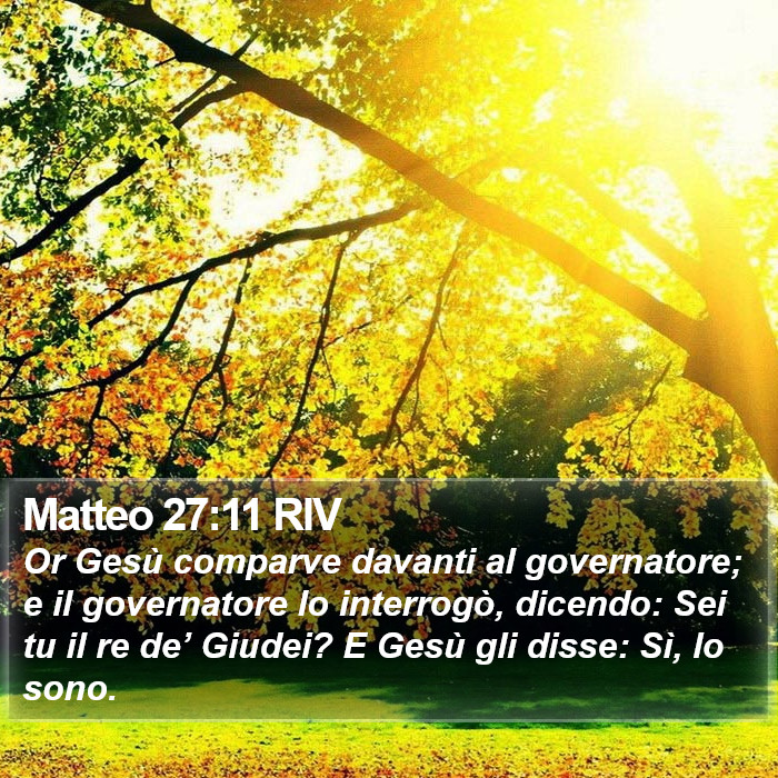 Matteo 27:11 RIV Bible Study