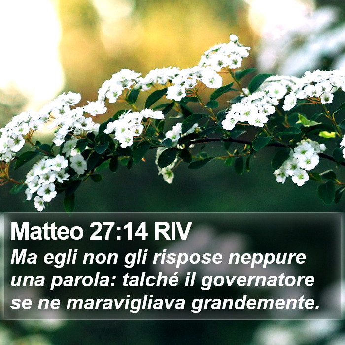 Matteo 27:14 RIV Bible Study