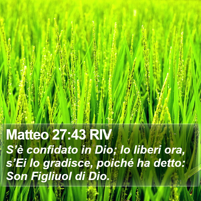 Matteo 27:43 RIV Bible Study