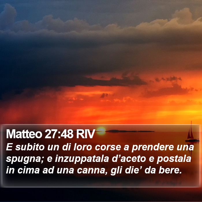 Matteo 27:48 RIV Bible Study