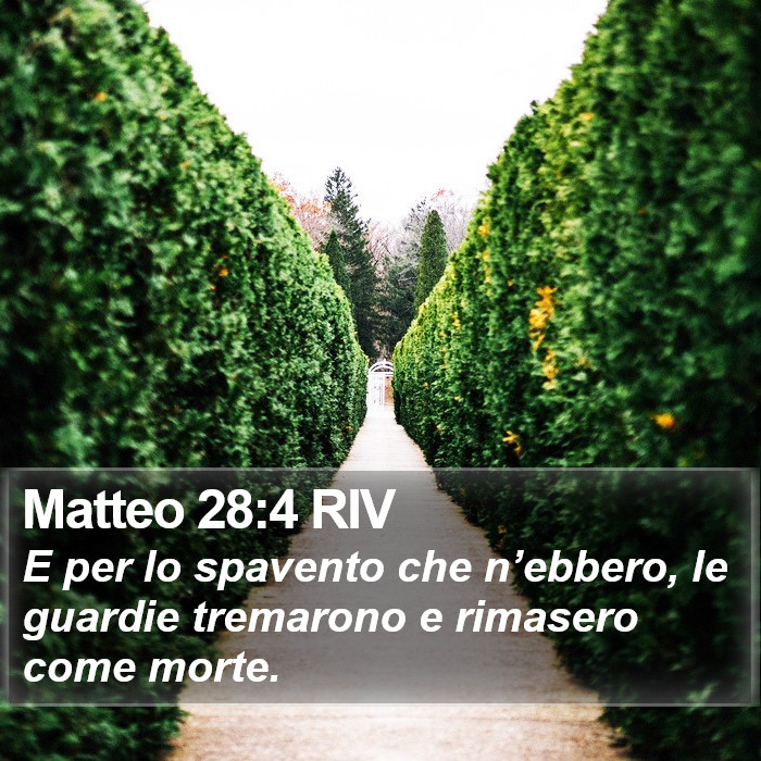 Matteo 28:4 RIV Bible Study