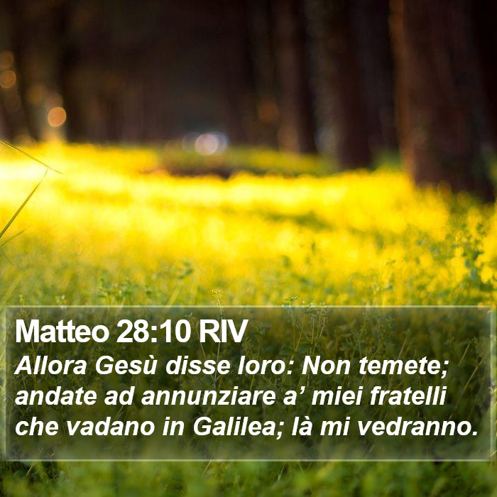 Matteo 28:10 RIV Bible Study