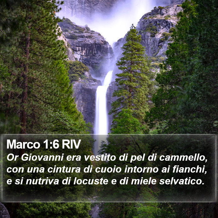 Marco 1:6 RIV Bible Study