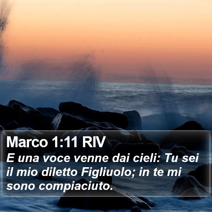 Marco 1:11 RIV Bible Study