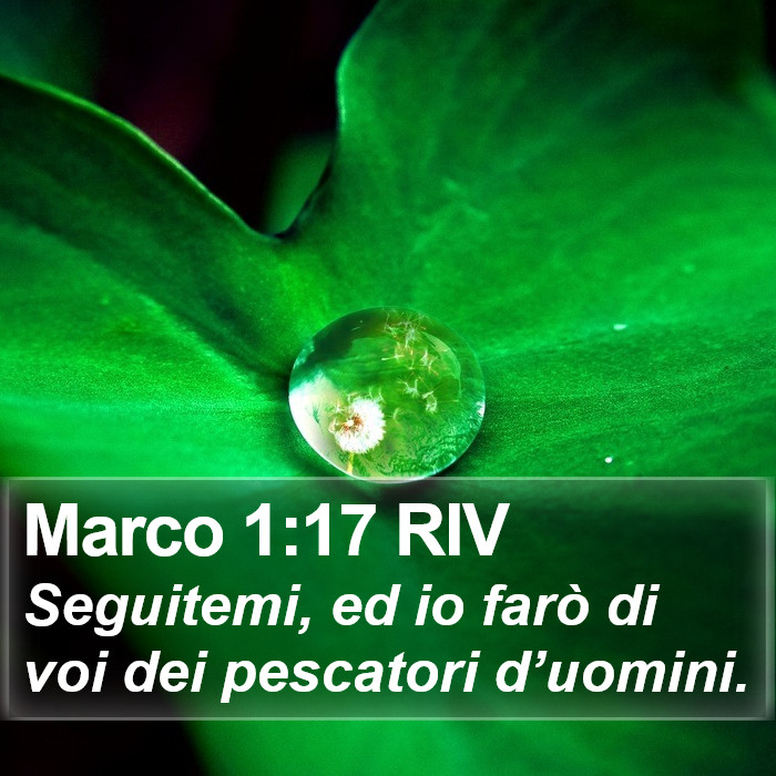 Marco 1:17 RIV Bible Study