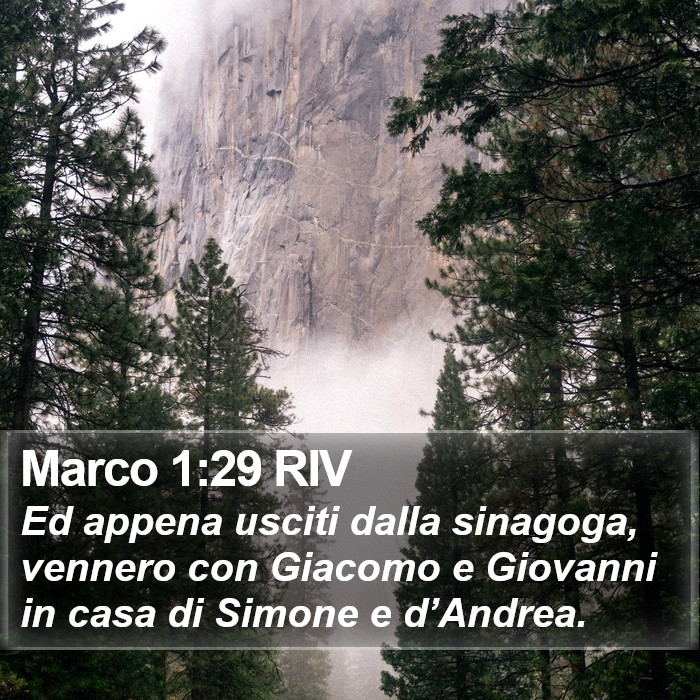 Marco 1:29 RIV Bible Study