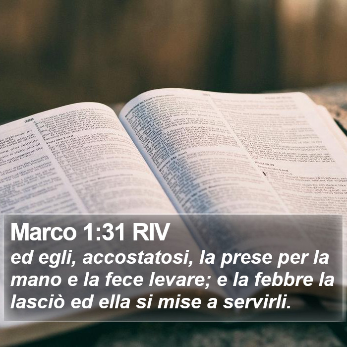 Marco 1:31 RIV Bible Study