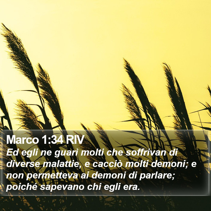 Marco 1:34 RIV Bible Study