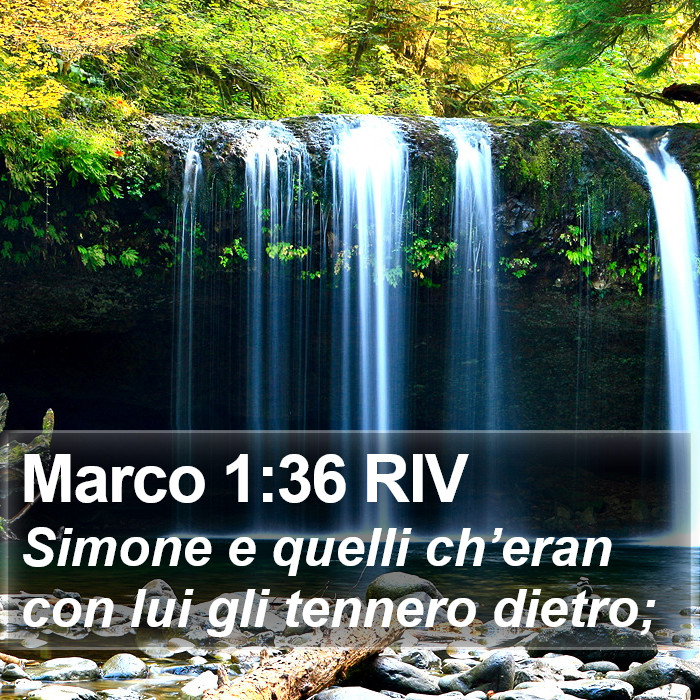 Marco 1:36 RIV Bible Study