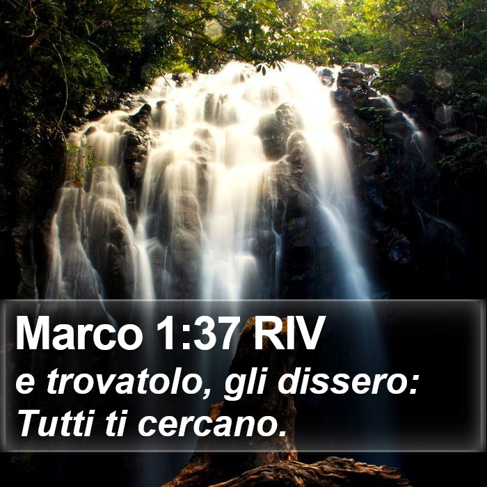 Marco 1:37 RIV Bible Study