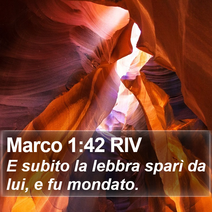 Marco 1:42 RIV Bible Study