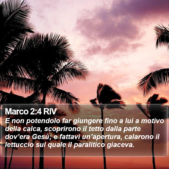 Marco 2:4 RIV Bible Study