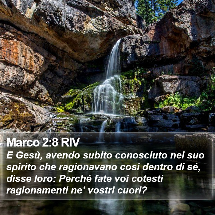 Marco 2:8 RIV Bible Study