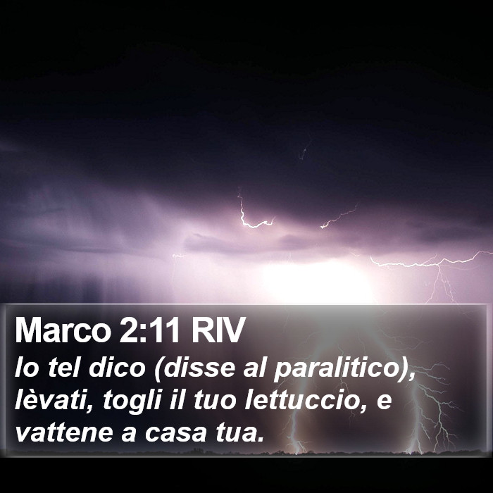Marco 2:11 RIV Bible Study