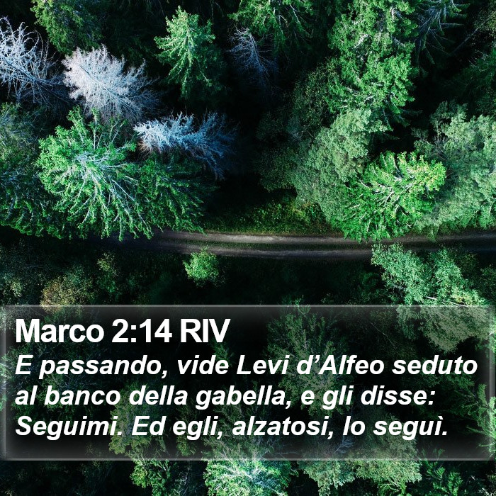 Marco 2:14 RIV Bible Study