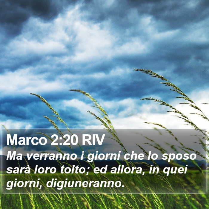 Marco 2:20 RIV Bible Study