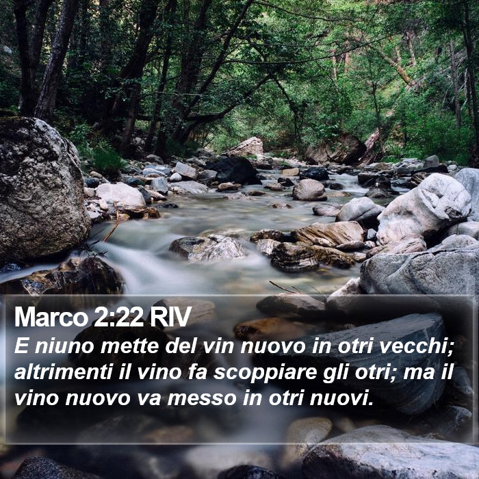 Marco 2:22 RIV Bible Study
