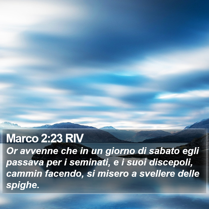 Marco 2:23 RIV Bible Study