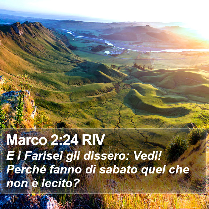 Marco 2:24 RIV Bible Study
