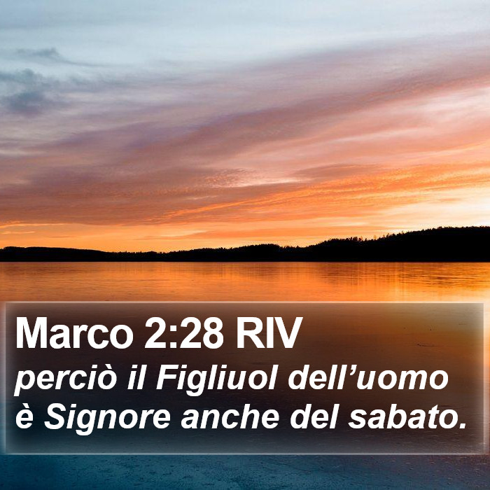 Marco 2:28 RIV Bible Study