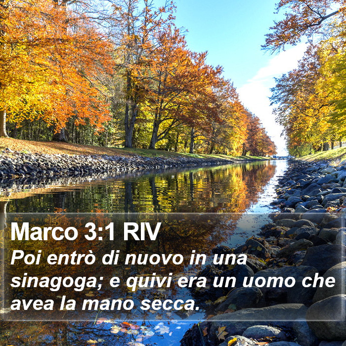 Marco 3:1 RIV Bible Study